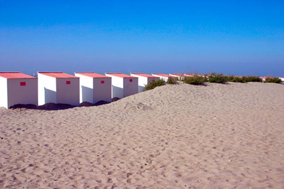 Open Campingdag Vlaamse Kust