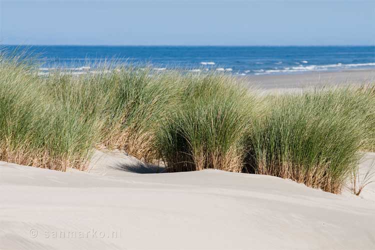 Met je bus voordelig naar Terschelling